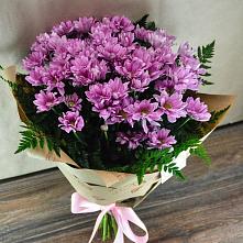 Букет цветов из:  Хризантемы #REPLACE_PRED# Никулино