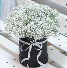 Цветочная композиция из Гипсофила в шляпной коробке в Никулино