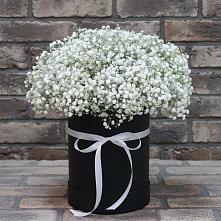 Цветочная композиция из Гипсофила в шляпной коробке в Никулино